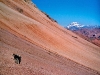 bergland-im-suedosten-argentiniens-luc.jpg