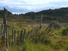 landschaft-in-argentinien-angela7dreams.jpg