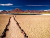 atacama-flickr-velazsolano4.jpg