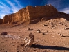 atacama-flickr-velazsolano5.jpg