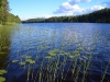 Saimaa Seen in Finnland