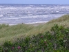 nordsee-flickr-andi-kahle.jpg