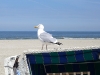 nordsee-flickr-tempoworld.jpg