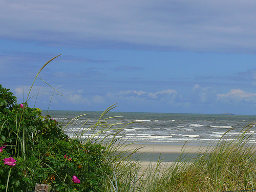 Nordsee flickr ©Andi kahle