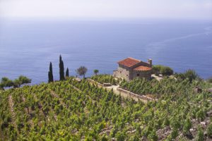 Weinberg mit Kapelle bei Campo la Feno, im Westen der Insel