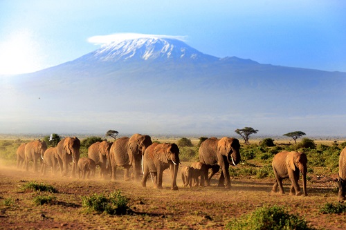 Abenteuer in Tansania: den Kilimandscharo besteigen 