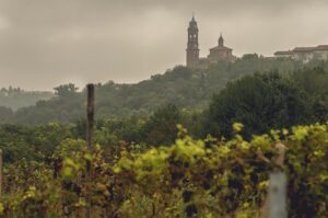 Blick auf Langhe