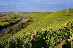 Rendezvous zum Weinwandern